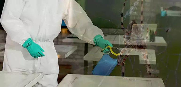 Why Buyers Still Want Homes With Pest Infestations in Cary, NC?